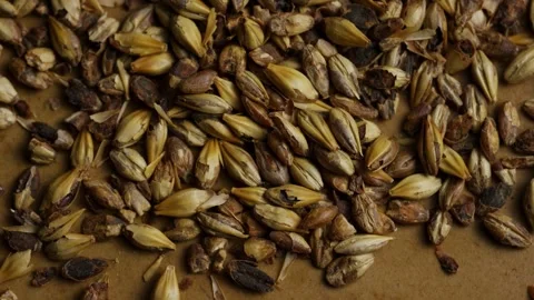 Roasted barley malt grains rotating on a brown surface Stock Footage 327947662