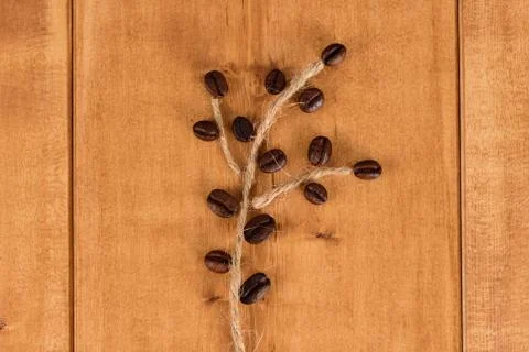 Roasted bean coffee laid out as a branch Stock Photos
