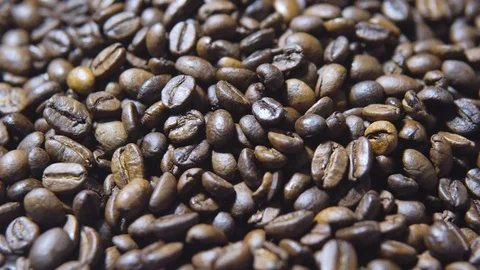 Roasted beans of fresh coffee in motion Stock Footage 101119819