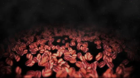 Roasted Beans Parade 動画素材 41756786