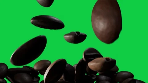 Roasted beans popping, tumbling from hidden gust, showing texture and shine on 스톡 동영상 337506422