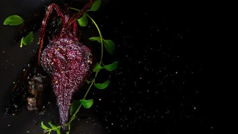 Roasted Beets Stock Photos