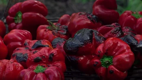 Roasted bell peppers on the grill Stock Footage 217374826