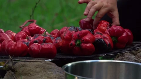 Roasted bell peppers on the grill Stock Footage 217374933