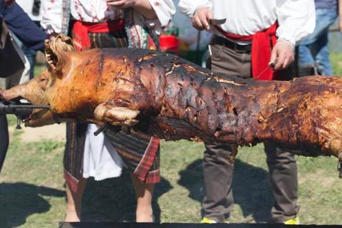 Roasted big pig. Stock Photos