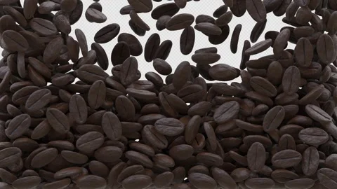 Roasted Black Coffee Beans Animation Curtain Transition Alpha Channel Stockbeeldmateriaal 267244752