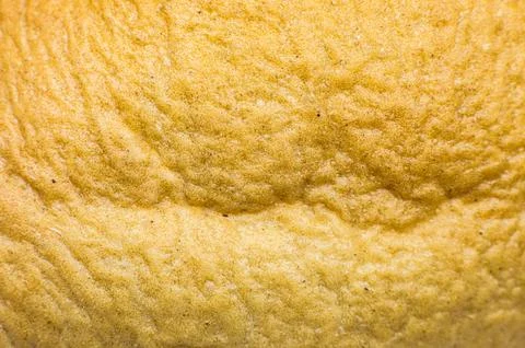 Roasted Bread texture background. Loaf Bakery concept. Close up, macro phot.. Stock Photos