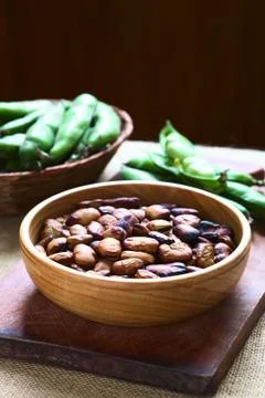 Roasted Broad Beans Stock Photos