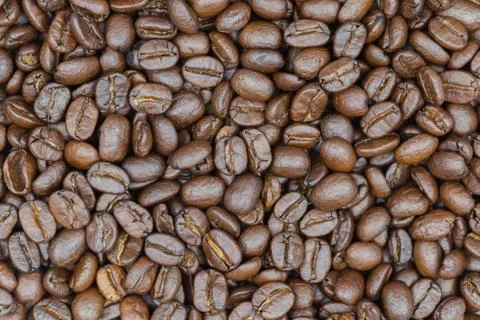 Roasted brown coffee beans background. Фото