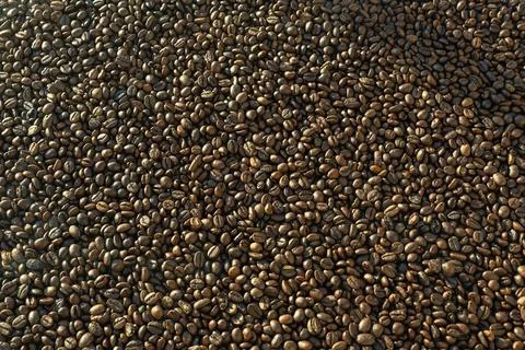 Roasted brown coffee beans background Stock Photos