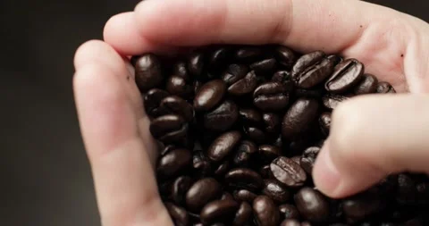 Roasted brown coffee beans to prepare beverage in woman's hands, closeup view. Stock Footage 147347430