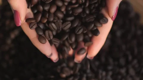 Roasted brown grains falling down on pile arabica super slow motion. Closeup Stock Footage 271258658