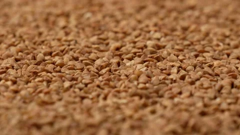 Roasted buckwheat, side view. Buckwheat - background. Stock Footage 144685886