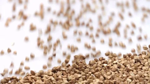 Roasted buckwheat on white background falling from top and filling up frame. Stock Footage 108043626