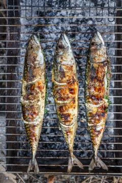 Roasted carcass fish mackerel cooked on the grill, top view, close-up Stock Photos
