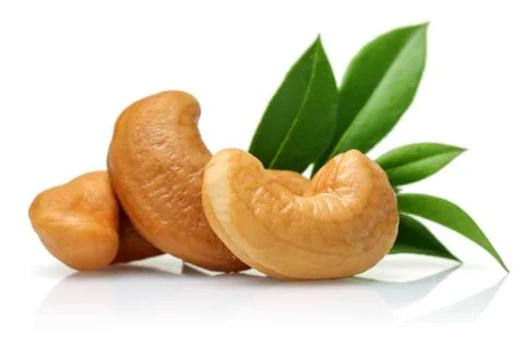 Roasted cashew nuts and leaf isolated on white Stock Photos
