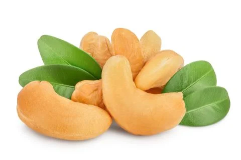 Roasted Cashew nuts with leaf isolated on white background with clipping path Stock Photos