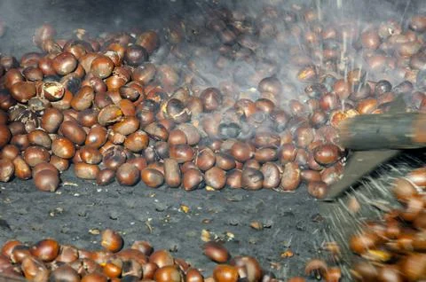 Roasted chestnuts cooked on the grill Stock Photos