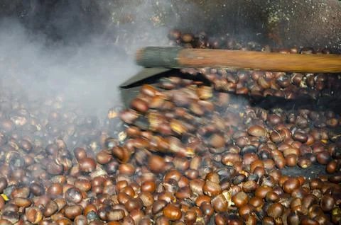 Roasted chestnuts cooked on the grill Stock Photos