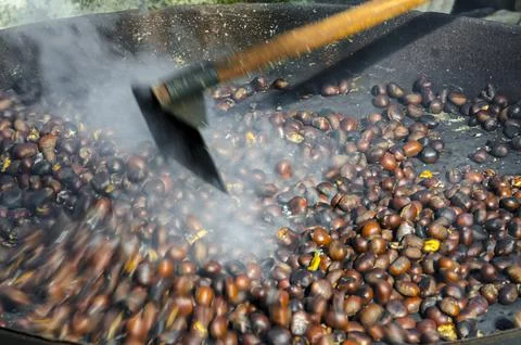 Roasted chestnuts cooked on the grill Stock Photos