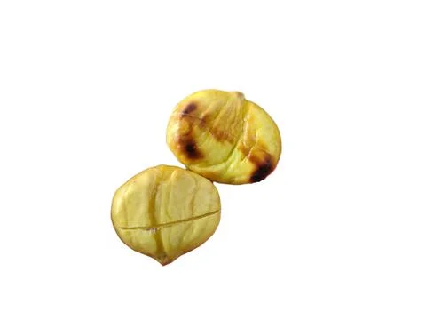 Roasted chestnuts kernel isolated on white background 写真素材