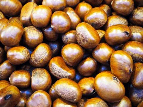 Roasted Chestnuts Stock Photos