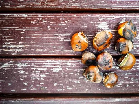 Roasted chestnuts 스톡 사진