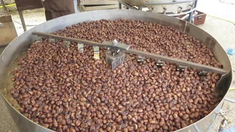Roasted chestnuts on rotating industrial pots Vídeo Stock 81609387