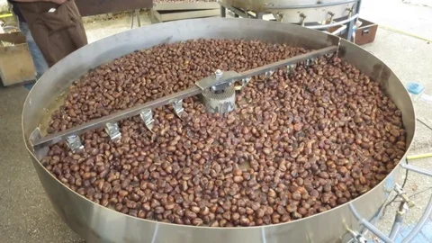 Roasted chestnuts on rotating industrial pots Video stock 81609397