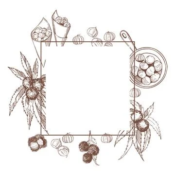 Roasted chestnuts set.  Vector   frame. Stock-Illustration