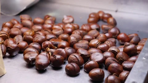 Roasted chestnuts spread across a metal tray prepared for sale at a street Stockbeeldmateriaal 333046501