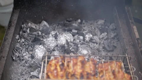 Roasted Chicken Meat on Grill with Potatoes Baking in Hot Coals Atmosphere Stock Footage 339067511