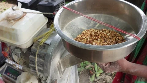 Roasted Chickpeas are grinding Stock Footage 312778890