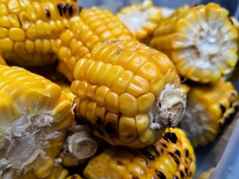 Roasted cob pieces with maize kernels detail Stock Photos