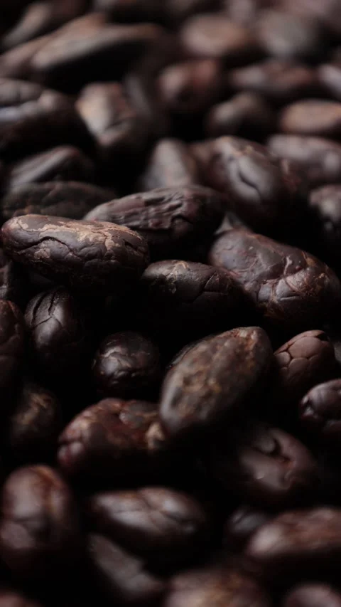 Roasted cocoa beans Video stock 277516770