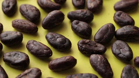 Roasted cocoa beans Stock Footage 277516792