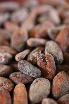 Roasted cocoa beans macro background Stock Photos