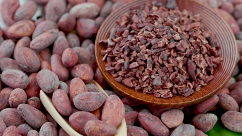 Roasted cocoa beans for making drinks, chocolate and desserts. Stock Footage 145514384