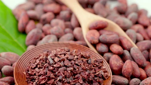 Roasted cocoa beans for making drinks, chocolate and desserts. Stock Footage 145514515