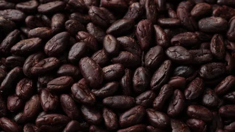 Roasted cocoa beans seeds texture background Video stock 277516851