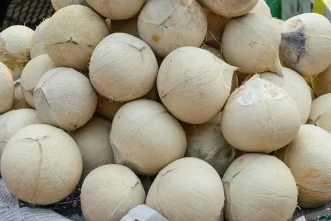 Roasted coconut for drinking in summer. Stock Photos