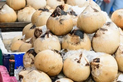 Roasted coconut for drinking in summer. Stock Photos