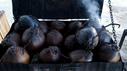 Roasted coconut 写真素材