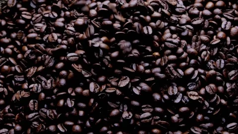 Roasted Coffee 15s 動画素材 232972357
