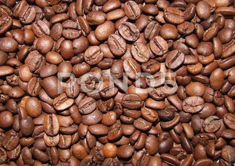 Roasted coffee background . Stock Photos