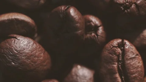 Roasted coffee bean Stock Footage 81733717