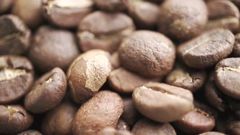 Roasted coffee bean Stock Footage 163286956