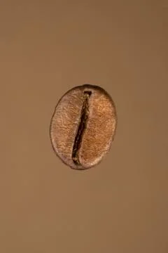 Roasted coffee bean isolated Stock Photos