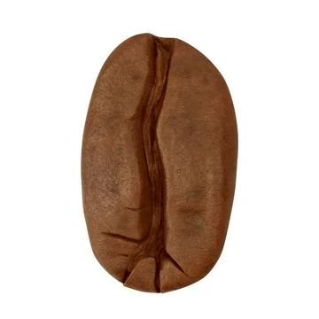 Roasted coffee bean isolated on white background macro Stock Illustration