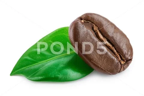 Roasted coffee bean with leaves isolated on white background. Stock Photos